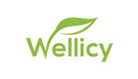 wellicy.com store logo